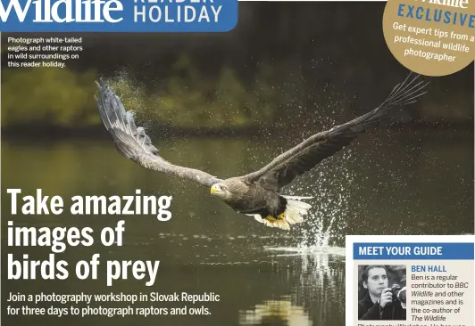  ??  ?? Photograph white-tailed eagles and other raptors in wild surroundin­gs on this reader holiday.