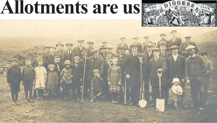  ??  ?? Dangerfiel­d Lane Allotment Club, Darlaston, in the early years of the 20th century