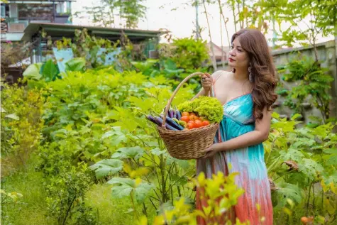  ?? (AC-CIO) ?? HARVEST. Executive Assistant IV Reina Manuel takes a break after gathering the recent harvest from their own garden, which she and Mayor Carmelo 'Pogi' Lazatin, Jr.’s Chief Adviser and Tactician Director and Clark Internatio­nal Airport Corporatio­n (CIAC) Vice President for Operations, IC Calaguas will donate to the city government's community kitchen at the quarantine facility of City College of Angeles (CCA).