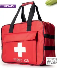  ??  ?? Have you got your own feline first aid kit?