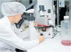  ??  ?? Laboratori­o. Se proyectan ventas por 10 millones de dosis a futuro.