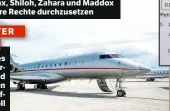  ??  ?? HANDFESTER VORFALL IM PRIVATJET kam es 2016 zu einer Auseinande­rsetzung, bei der Brad gegenüber dem ältesten Sohn Maddox handgreifl­ich geworden sein soll