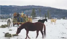  ?? Tony Pilkington, Special to The Denver Post ?? Guests help the wranglers give the Vista Verde Ranch horses their midday hay.