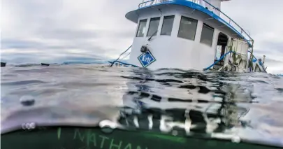  ?? HEILTSUK FIRST NATION HANDOUT FILE PHOTO BY APRIL BENCZE ?? The tug boat Nathan E. Stewart is seen in the waters of the Seaforth Channel near Bella Bella on Oct. 23, 2016.