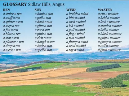  ??  ?? Poet Lesley Harrison’s tribute to the Sidlaws, which draws on the sights and sounds of Angus.