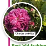  ??  ?? ‘Charles de Mills’