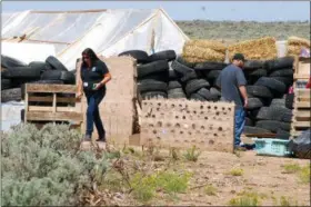  ?? MORGAN LEE — THE ASSOCIATED PRESS ?? Taos County Planning Department officials Rachel Romero, left, and Eric Montoya survey property conditions at a disheveled living compound at Amalia, N.M., on Tuesday. A New Mexico sheriff said searchers have found the remains of a boy at the makeshift compound that was raided in search of a missing Georgia child.