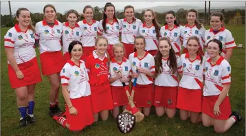  ??  ?? Aughrim/Annacurra, winners of the Under-16 Shield.