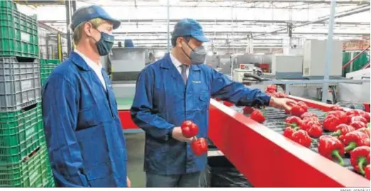  ?? RAFAEL GONZÁLEZ ?? Juanma Moreno, ayer durante su visita a una empresa hortofrutí­cola en la localidad almeriense de El Ejido.