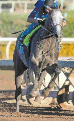  ?? BARBARA D. LIVINGSTON ?? Arrogate’s best wins the BC Classic. But will he bring his best?