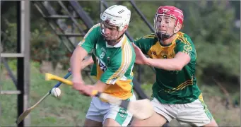  ??  ?? Martin O’Connor of HWH-Bunclody attempts to block Liam Pender (Hollow Rovers).