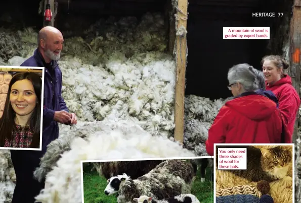  ??  ?? A mountain of wool is graded by expert hands.