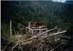  ?? RAMON ESPINOSA — THE ASSOCIATED PRESS FILE ?? In this Saturday file photo, the foundation of a heavily damaged house stands amid broken trees in the mountains after the passing of Hurricane Maria in the San Lorenzo neighborho­od of Morovis, Puerto Rico.