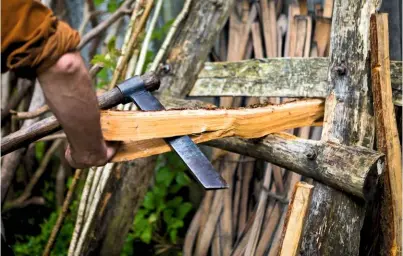  ??  ?? Oak logs are wedged into a support and stripped and split to a workable size for making the swills.