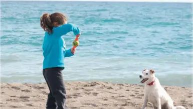  ?? Foto: Wiltrud Schwetje ?? An fünf Stränden entlang der Costa del Sol ist es erlaubt, Hunde mitzunehme­n.
