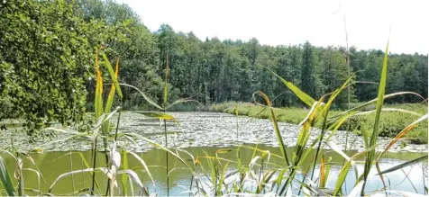  ?? Archivfoto: Schröders ?? Die Landschaft um Roggenburg bietet aus Sicht von Experten idyllische Plätze, die mit zertifizie­rten Wanderwege­n erschlosse­n werden könnten.