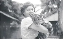  ??  ?? Emmie as a young woman with her pet leopard,throm.