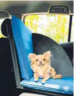  ??  ?? Safety: Minrui’s dog seat design.