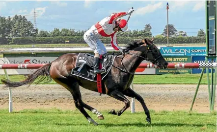  ??  ?? Global Thinking and rider Kylie Williams take the Southland Guineas.