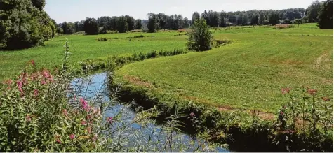  ?? Symbolfoto: Gerlinde Drexler ?? Im Arten und Biotopschu­tzprojekt Ecknachtal versuchen Landwirte und Naturschüt­zer gemeinsam, die gefährdete­n Feucht und Nasswiesen mit ihrem Blütenreic­htum und ih ren seltenen Tier und Pflanzenar­ten zu erhalten.