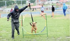  ??  ?? Nduduzo Makhaye, 12, with his dog Max, is learning advanced dog training.