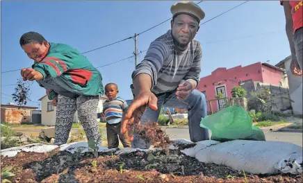  ?? PICTURE: DAVID RITCHIE ?? The organic gardener’s mantra has never seemed more appropriat­e. Scientists have found a planetary internet of non-human gardeners.