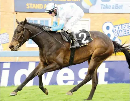  ??  ?? PICK 6 BANKER. Piere Strydom has made Pilgrim’s Progress, who runs i9n Race 4 at Turffontei­n today, a banker in all bets.