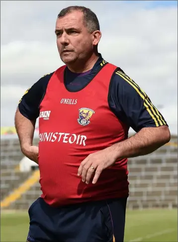  ??  ?? Wexford manager Seamus McEnaney is primed to face his native county Monaghan on Saturday.