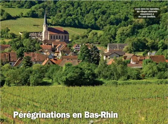  ??  ?? Lovés dans les vignobles, les villages alsaciens ressemblen­t à des nids douillets.