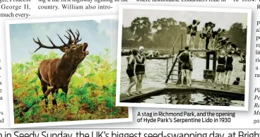  ??  ?? A stag in Richmond Park, and the opening of Hyde Park’s Serpentine Lido in 1930