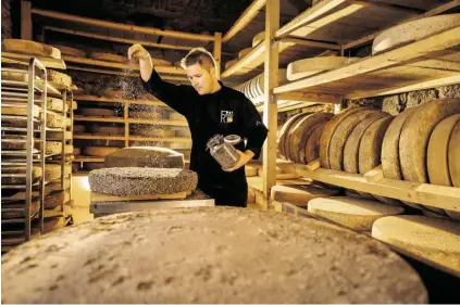  ?? BILD: SN/BERNHARD BERGMANN ?? In der Fromagerie zu Riegersbur­g veredelt Bernhard Gruber Käse.