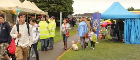  ??  ?? The recent ‘Bad Fest’ at Gorey Town Park.