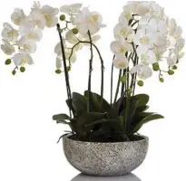  ??  ?? Fake orchid in clay pot, $329, interiorso­nline.com.au