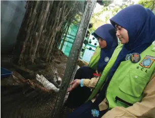  ?? GHOFUUR EKA/JAWA POS ?? MODAL MASA DEPAN: Amalia Putri Divanda dan Pelangi Nerisa Arfina (kanan), anggota Gerakan Cinta Lingkungan, melihat hasil budi daya ikan cupang di SMP Islam Sidoarjo kemarin. Foto atas, mereka juga merawat burung dara mulai telur. Banyak manfaat yang...