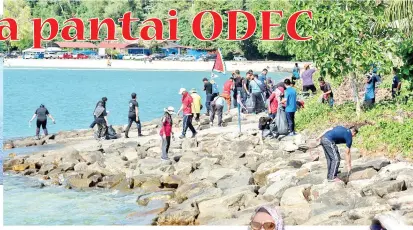  ??  ?? (Gambar kanan) WARGA UMS turut mengutip sampah di celah-celah batu di tebing pantai UMS.