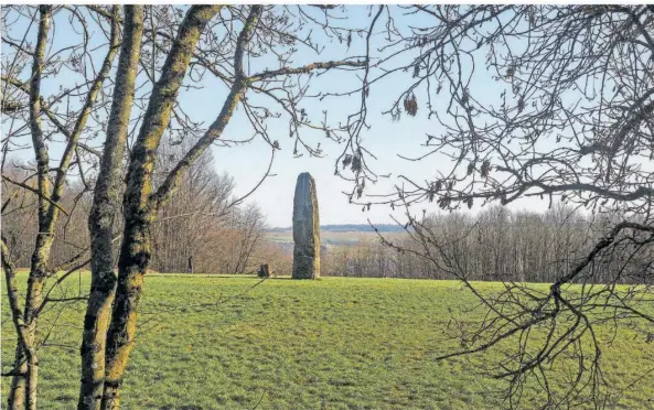  ?? FOTOS (2): THOMAS REINHARDT ?? Der Gollenstei­n steht auf 319 Metern Höhe auf dem Hohberg und überragt die Stadt Blieskaste­l um rund 100 Meter.