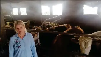  ?? ?? Zijada Efendić koja u Skejićima uzgaja bikove, želi otpočeti i uzgoj koka nosilja za što joj je potrebno osiguranje otkupa od 50 % proizvodnj­e što do sada nije uspjela ostvariti