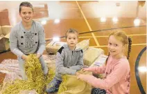  ?? Photo/ Alyssa Smith ?? Keegan, 11, and his siblings Oscar, 5, and Alice Kerr, 9, putting the straw in the hay sack.