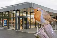  ?? ?? Shoppers have expressed concern for trapped robin.