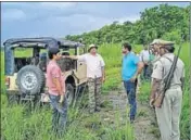  ?? HT PHOTO ?? Dudhwa Tiger Reserve officials inspect the spot where the big cat was killed on Monday.