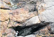  ?? TIFFANY THORNTON • CONTRIBUTE­D ?? A puffin peeks out from among the rocks on Bird Island.