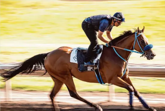  ?? Photos by Stephen Lam/The Chronicle ?? Jose “Pepe” Silva has been riding horses since he was 11. The 38-year-old Golden Gate Fields employee says being around horses is “like therapy” for him.