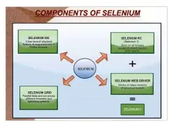  ??  ?? Figure 3: Components of Selenium (Image credits: antidisest­ablishment­arianism)
