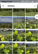  ??  ?? Erkennungs­dienst: Die App findet hier automatisc­h Bilder, die zum Suchbegrif­f „Weinberg“passen.