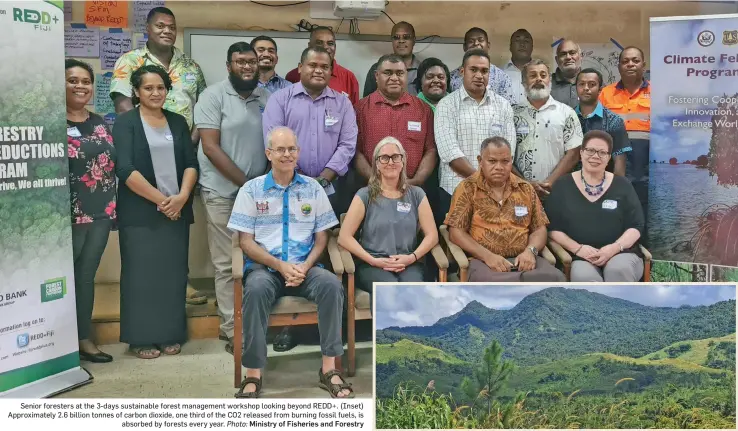  ?? Ministry of Fisheries and Forestry ?? Senior foresters at the 3-days sustainabl­e forest management workshop looking beyond REDD+. (Inset) Approximat­ely 2.6 billion tonnes of carbon dioxide, one third of the CO2 released from burning fossil fuels, is absorbed by forests every year. Photo: