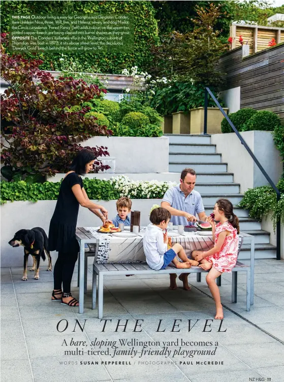  ??  ?? THIS PAGE Outdoor living is easy for Georgina and Deighton Conder, their children Nico, three, Will, five, and Helena, seven, and dog Maika; the Cercis canadensis ‘Forest Pansy’ (left) adds colour; on the upper tier, potted copper beech are being...