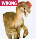  ??  ?? ...but said it was an oviraptor