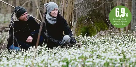  ?? Foto: Petr Lemberk, MAFRA ?? Ráj bledulí Lány bledulí v rezervaci u Chlébského potoka na Vysočině teď jezdí obdivovat stovky výletníků. Tyto jarní květiny letos kvůli mimořádně teplé zimě vykvetly dříve než v jiných letech. A sněženky už v Česku kvetly dokonce před měsícem.