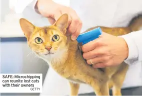  ?? GETTY ?? SAFE: Microchipp­ing can reunite lost cats with their owners