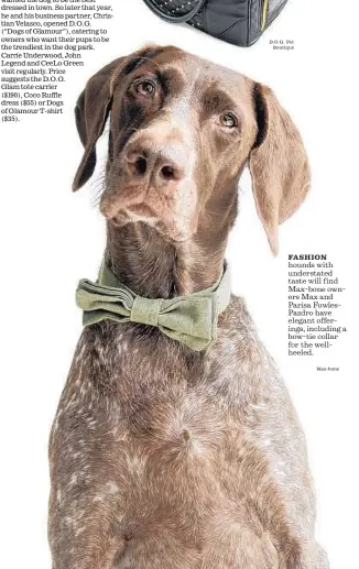  ?? Max-bone ?? FASHION hounds with understate­d taste will find Max-bone owners Max and Parisa FowlesPazd­ro have elegant offerings, including a bow-tie collar for the wellheeled.